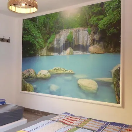 Appartement Jungle Adventure *